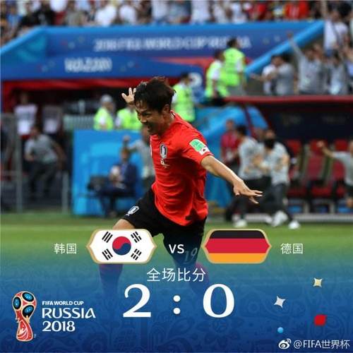 韩国vs德国韩日世界杯
