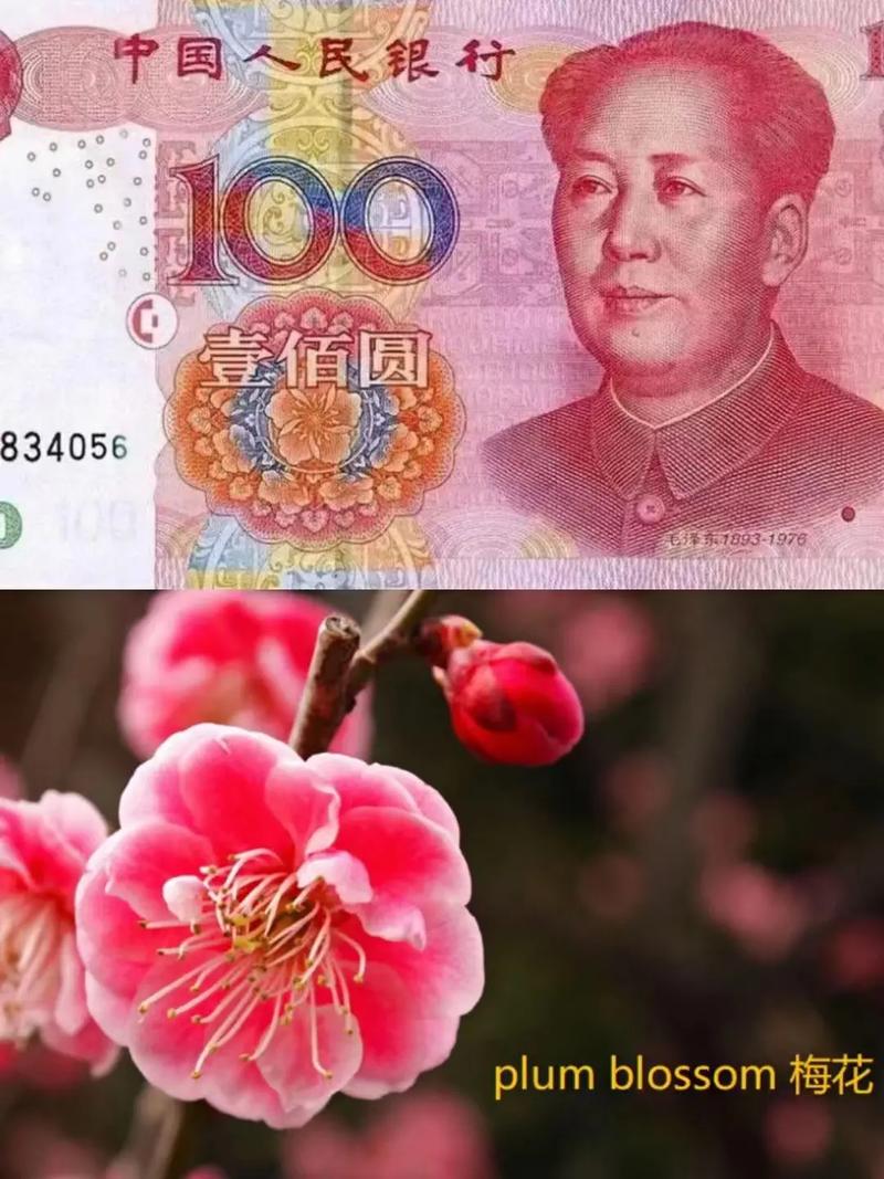 中国人民币vs日本人民币的相关图片